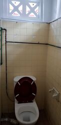 Geylang Road (D14), Shop House #597097831